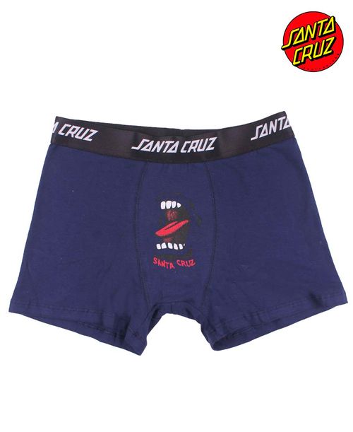 SANTA CRUZ BOXER CLASSIC PRINT