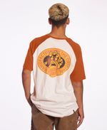 item28608foto119006