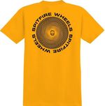 382626648_768564295029013_7388786567295484858_n