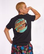 item29373foto121379