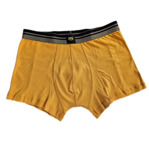 DTS BOXER AMARILLO