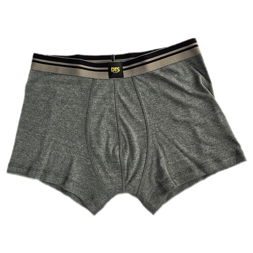 DTS BOXER